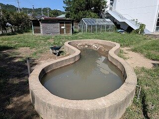 画像2.jpg