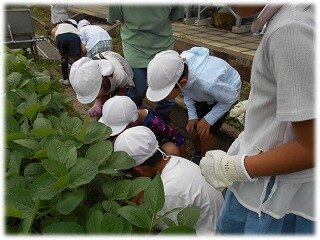 画像7.jpg