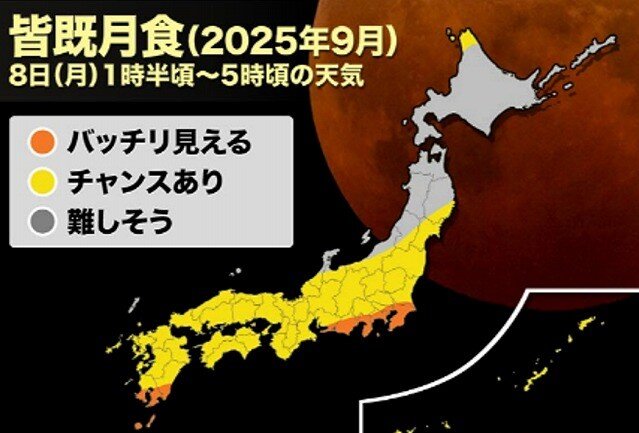 画像1 (2).jpg