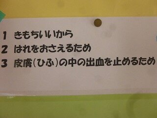 P1270713.jpg