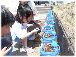 画像1.jpg