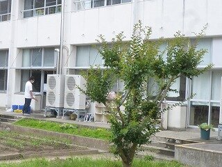 P1260876.jpg