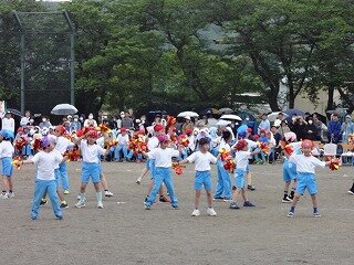 DSC02429.jpg
