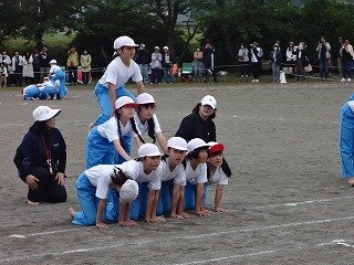 DSC02442.jpg