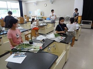 DSC02570.jpg
