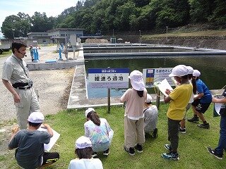 DSC02610.jpg