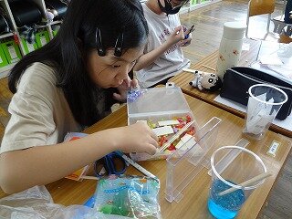 DSC03065.jpg