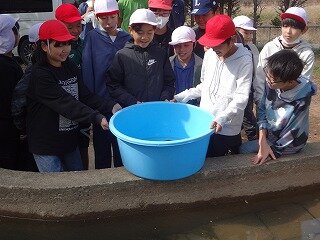 DSC03455.jpg