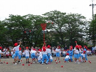 DSC08366.jpg