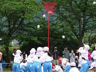 DSC08378.jpg