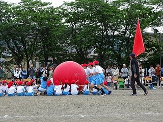 DSC08438.jpg