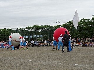 DSC08449.jpg