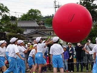 DSC08452.jpg