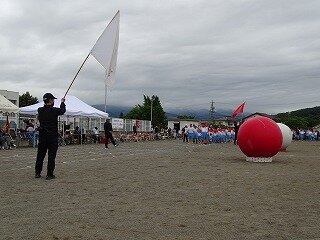 DSC08455.jpg