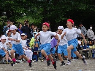 DSC08465.jpg