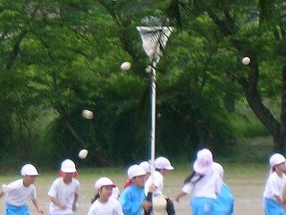 DSCN3066.jpg