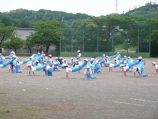 DSCN3080.jpg