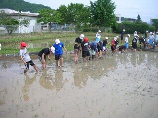 DSCN3086.jpg