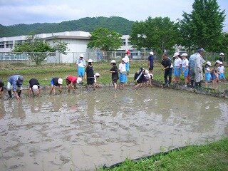 DSCN3087.jpg