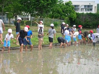 DSCN3088.jpg