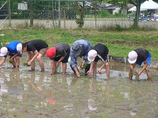 DSCN3089.jpg