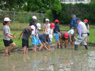 DSCN3091.jpg