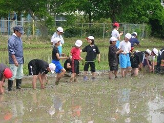 DSCN3093.jpg