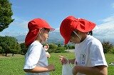 DSC_0166.jpg