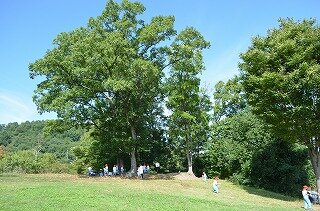 DSC_0169.jpg