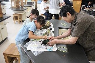 IMG_6344.jpg