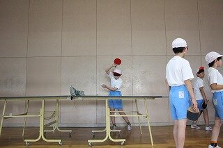 IMG_6382.jpg
