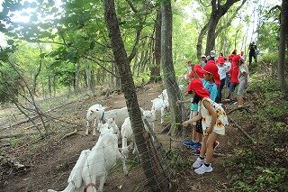 IMG_6590.jpg