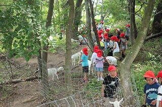 IMG_6592.jpg