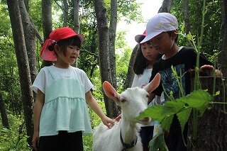 IMG_6616.jpg