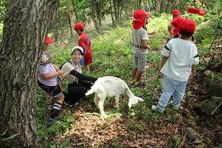 IMG_6624.jpg