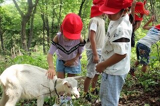 IMG_6625.jpg