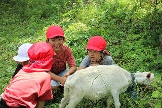 IMG_6639.jpg