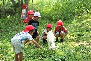 IMG_6647.jpg