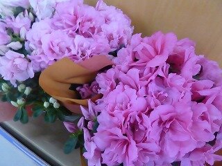 P1250348.jpg
