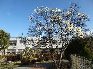 P1250361.jpg