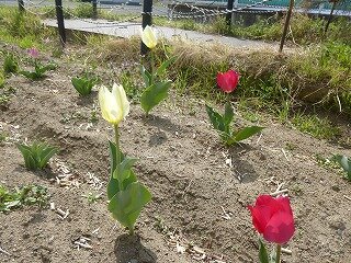 P1250435.jpg