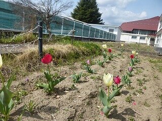 P1250437.jpg
