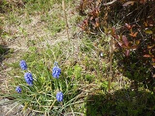 P1250438.jpg