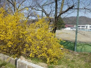 P1250472.jpg