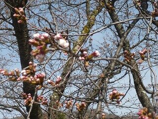 P1250476.jpg