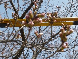 P1250477.jpg