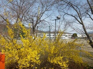 P1250478.jpg