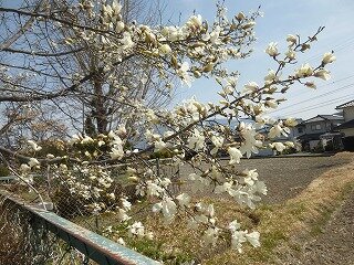 P1250481.jpg