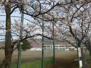P1250633.jpg