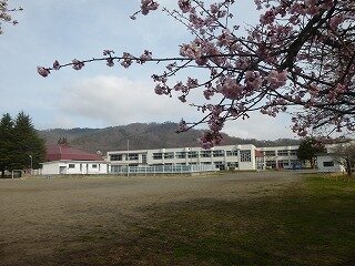 P1250644.jpg